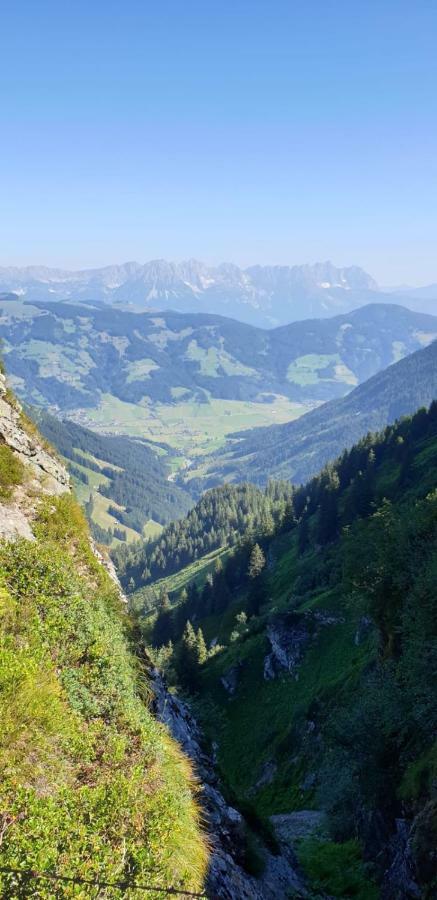Pension Laerchenbrunn وستندورف المظهر الخارجي الصورة